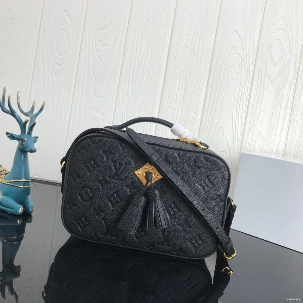 LOUIS VUITTON SAINTONGE 0416